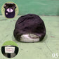 Studio Archive NY Cap